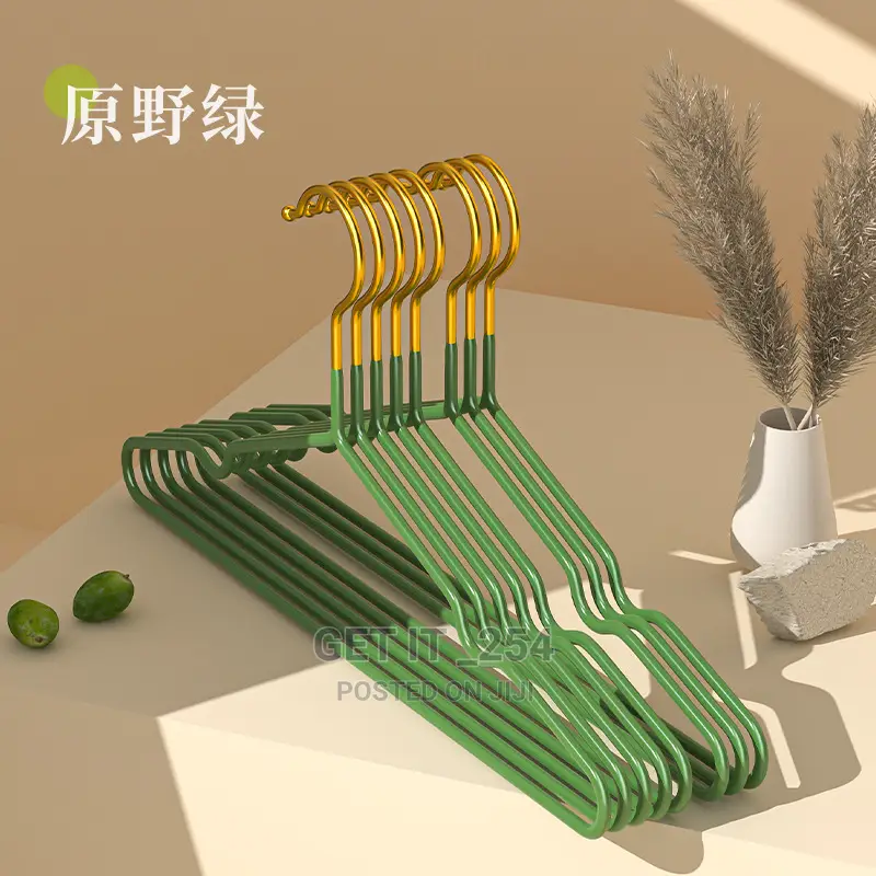 10 PCS Cloth Hangers