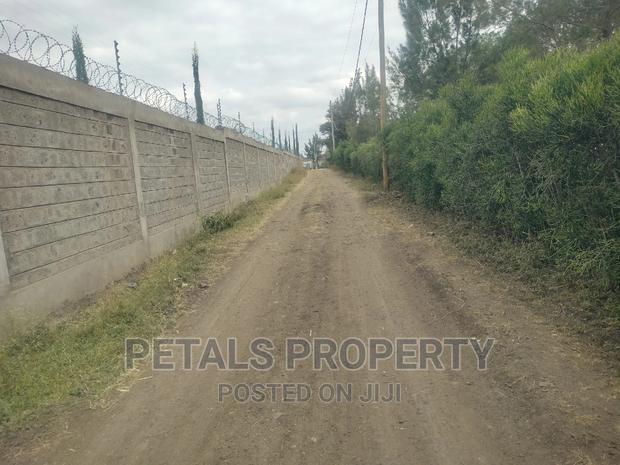 1/2 Acre Plot for Sale in Kandisi,Ongata Rongai - thumbnail 2