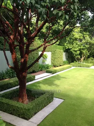 Mica Landscapers