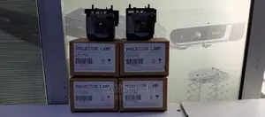Sony, Epson, Acer, Optoma Projector Replacement Lamps