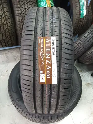 255/55r20 Bridgestone Alenza 001