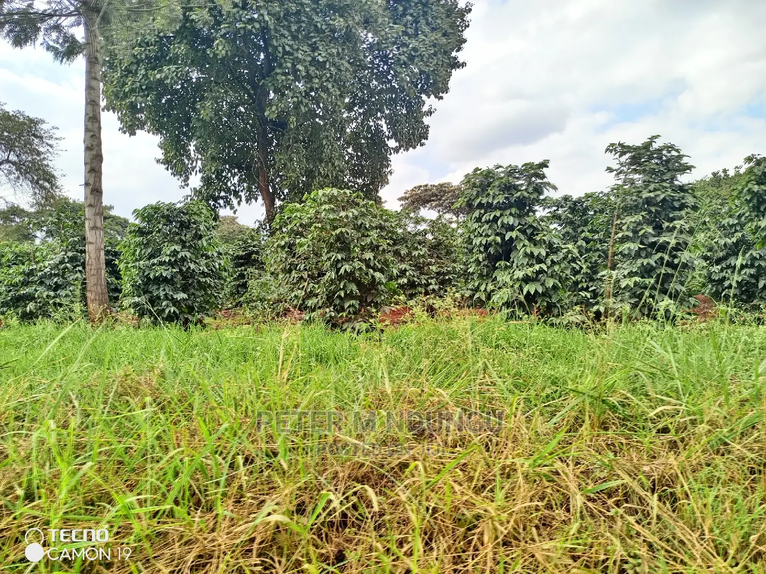 Prime 403acres on Sale, Kamiti Corner