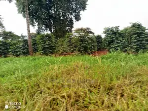 Prime 403acres on Sale, Kamiti Corner
