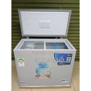 Roch 250-G Chest Freezer