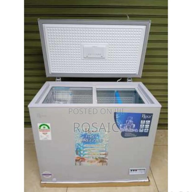 Roch 250-G Chest Freezer - main view