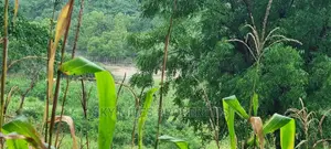 Creek Beach Mtwapa,3 Acres Virgin Land on Sale