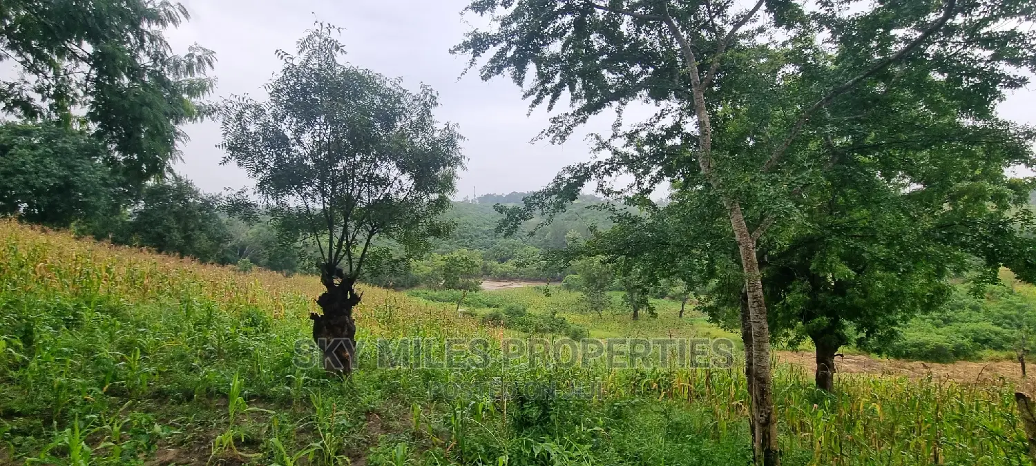Creek Beach Mtwapa,3 Acres Virgin Land on Sale