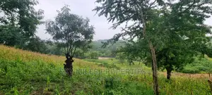 Creek Beach Mtwapa,3 Acres Virgin Land on Sale