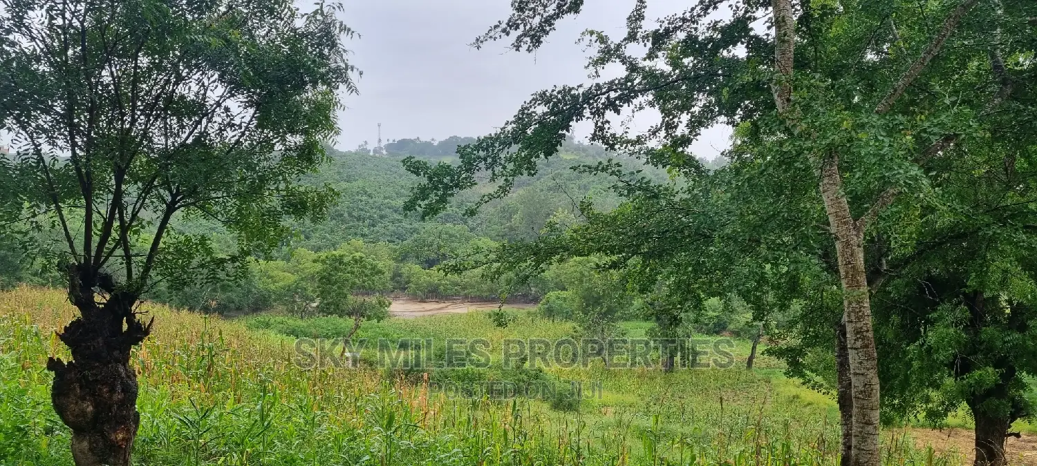 Creek Beach Mtwapa,3 Acres Virgin Land on Sale