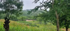 Creek Beach Mtwapa,3 Acres Virgin Land on Sale