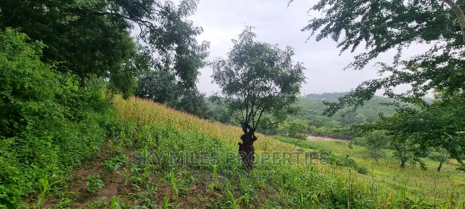 Creek Beach Mtwapa,3 Acres Virgin Land on Sale