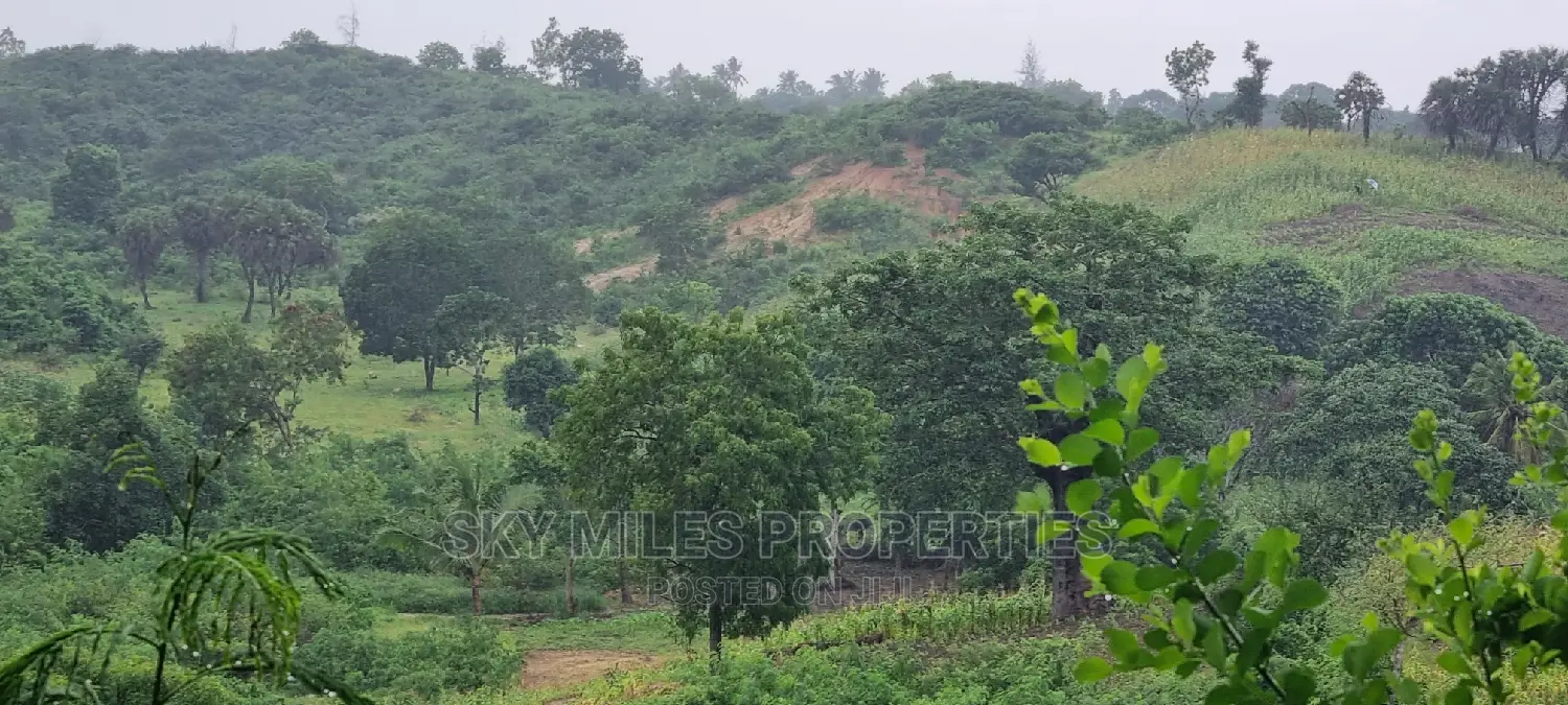 Creek Beach Mtwapa,3 Acres Virgin Land on Sale