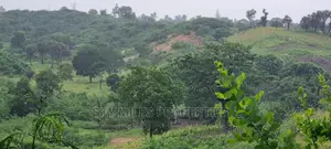 Creek Beach Mtwapa,3 Acres Virgin Land on Sale