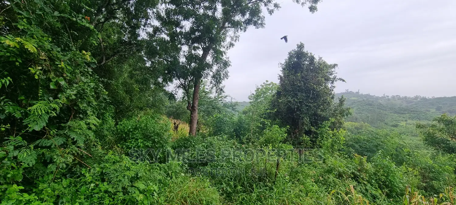 Creek Beach Mtwapa,3 Acres Virgin Land on Sale