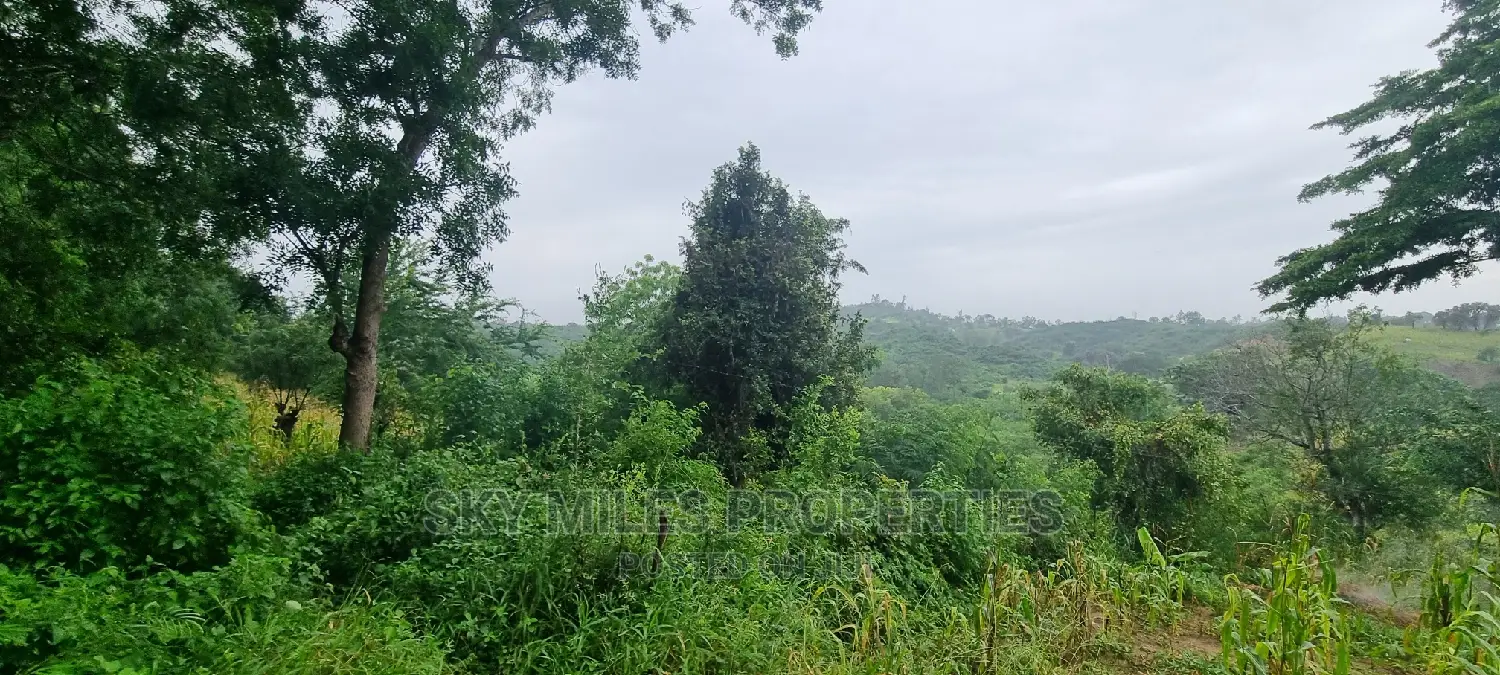 Creek Beach Mtwapa,3 Acres Virgin Land on Sale