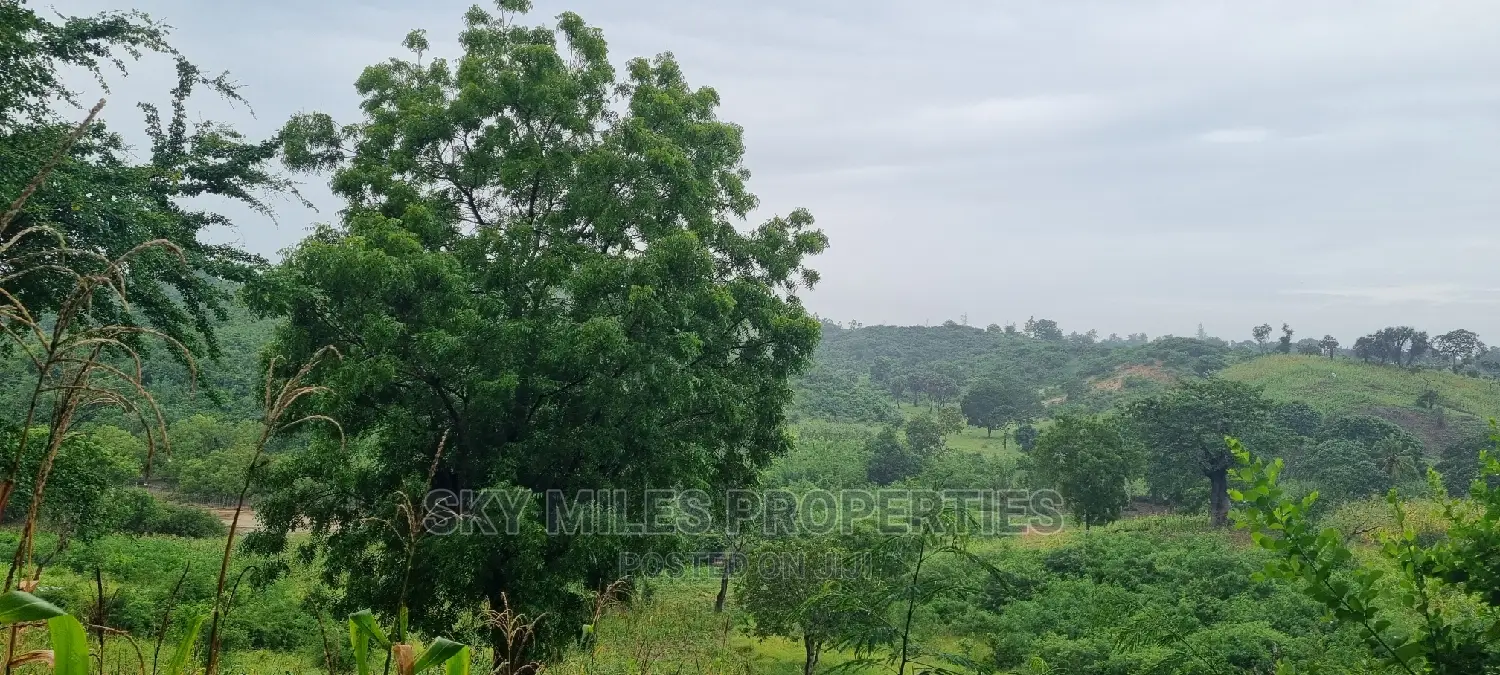Creek Beach Mtwapa,3 Acres Virgin Land on Sale