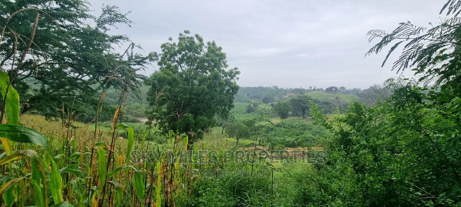 Creek Beach Mtwapa,3 Acres Virgin Land on Sale