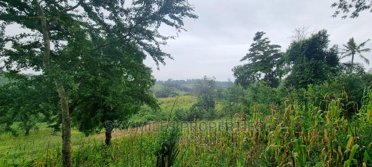 Creek Beach Mtwapa,3 Acres Virgin Land on Sale