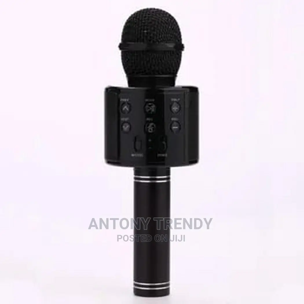 Wireless Karaoke Microphone Speaker With Bluetooth