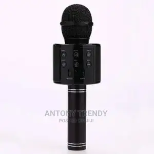 Wireless Karaoke Microphone Speaker With Bluetooth