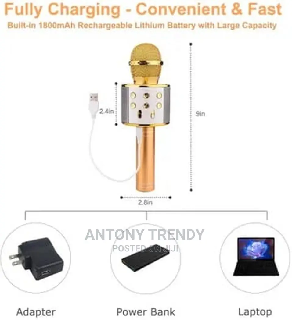 Mic With Bluetooth Dual Speakers Equalizer