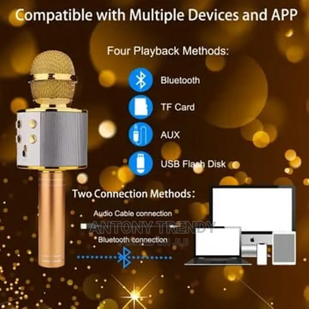 Karaoke Wireless Mic + Built-in Speaker
