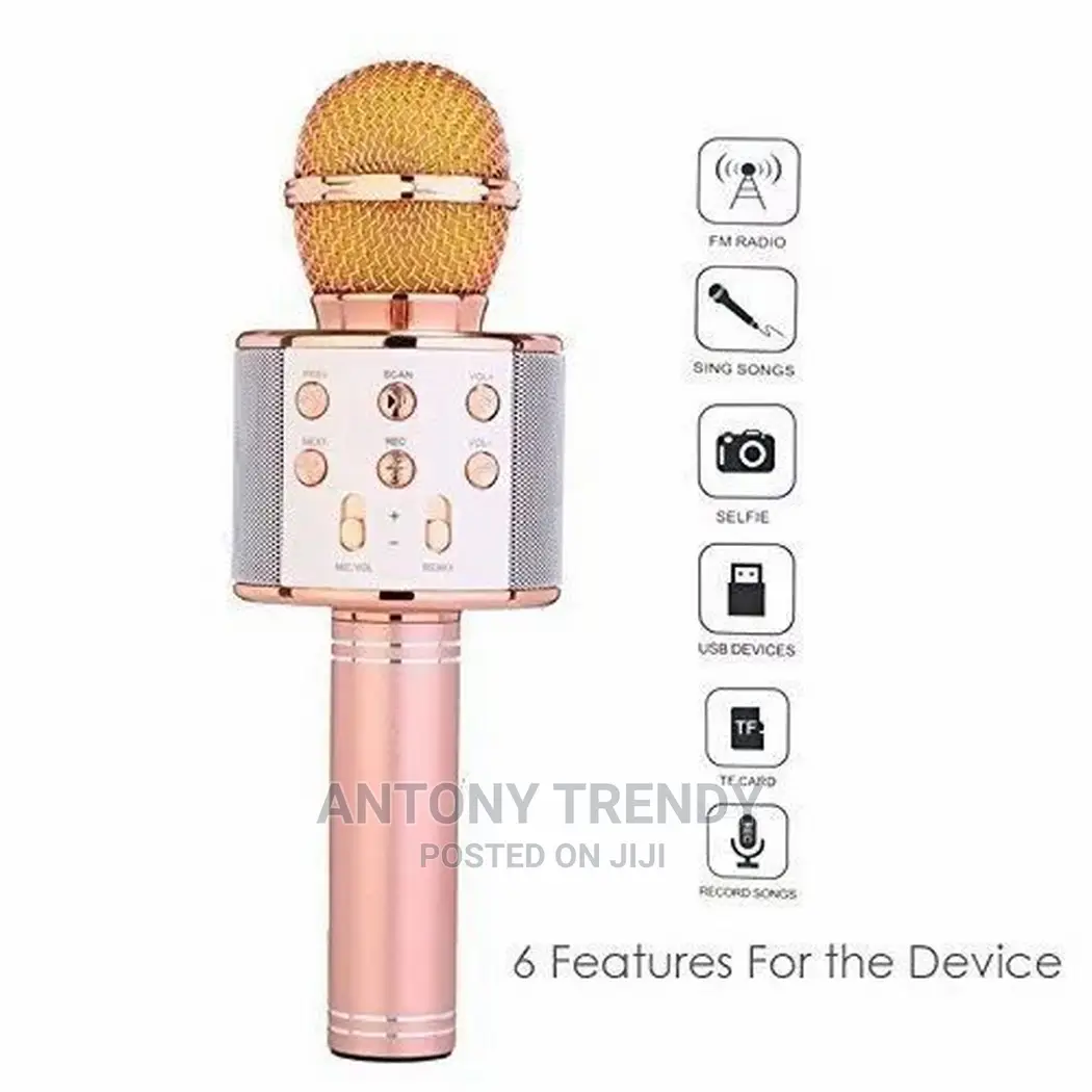 Ankuka Bluetooth Karaoke Microphone