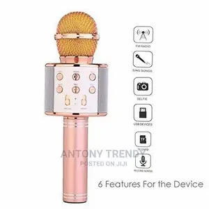 Ankuka Bluetooth Karaoke Microphone