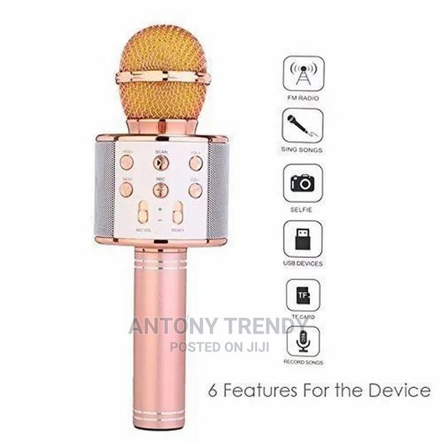 Ankuka Bluetooth Karaoke Microphone - main view