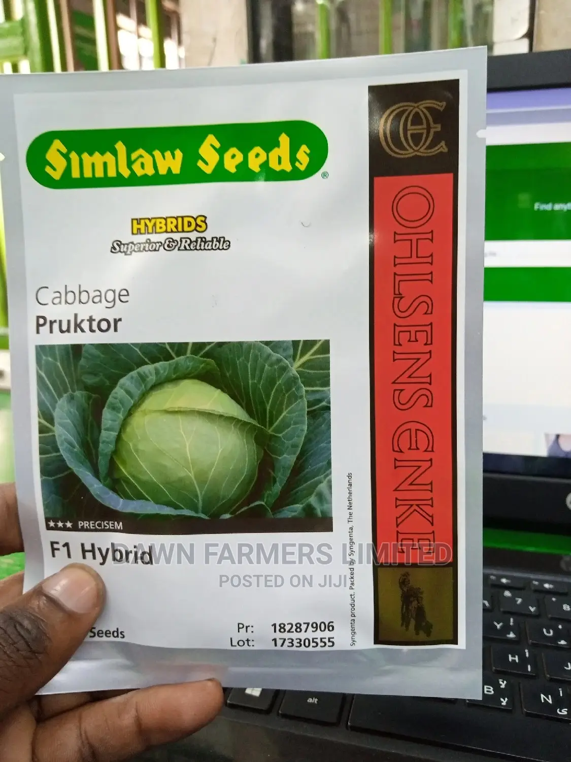 Pruktor F1 - Hybrid Cabbage