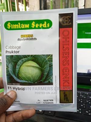 Pruktor F1 - Hybrid Cabbage - main view