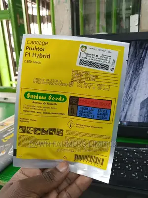 Pruktor F1 - Hybrid Cabbage
