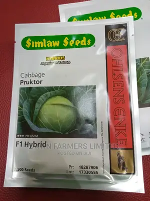 Pruktor F1 - Hybrid Cabbage