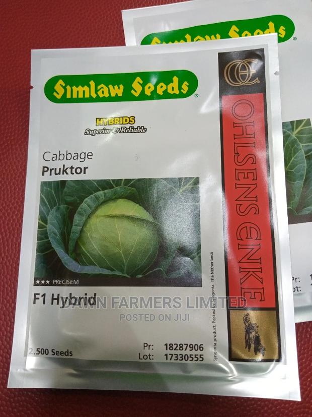 Pruktor F1 - Hybrid Cabbage - thumbnail 3