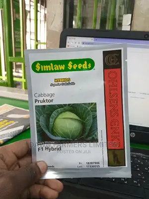 Pruktor F1 - Hybrid Cabbage