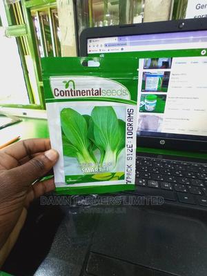 Pak Choi F1 - main view