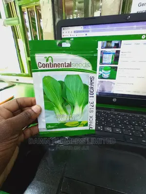 Pak Choi F1