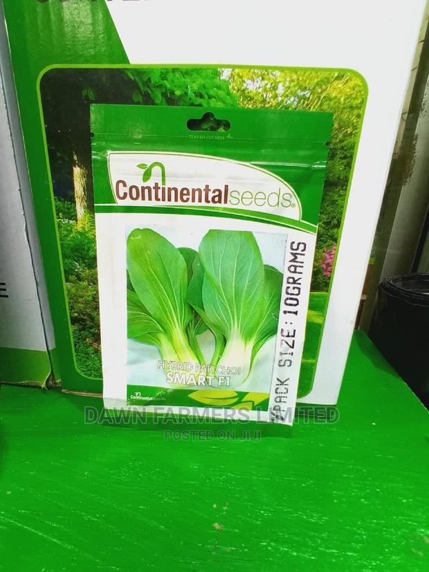 Pak Choi F1 - thumbnail 2