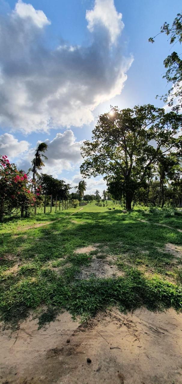 1/8 Plots Sheriani Town, Vipingo, Kilfi County - thumbnail 5