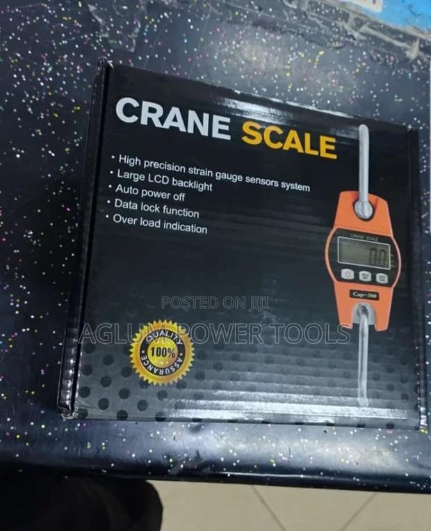 Crane Scale 300kgs. - main view