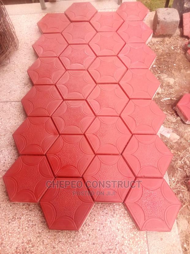 Coloured Cabro Paving - main view