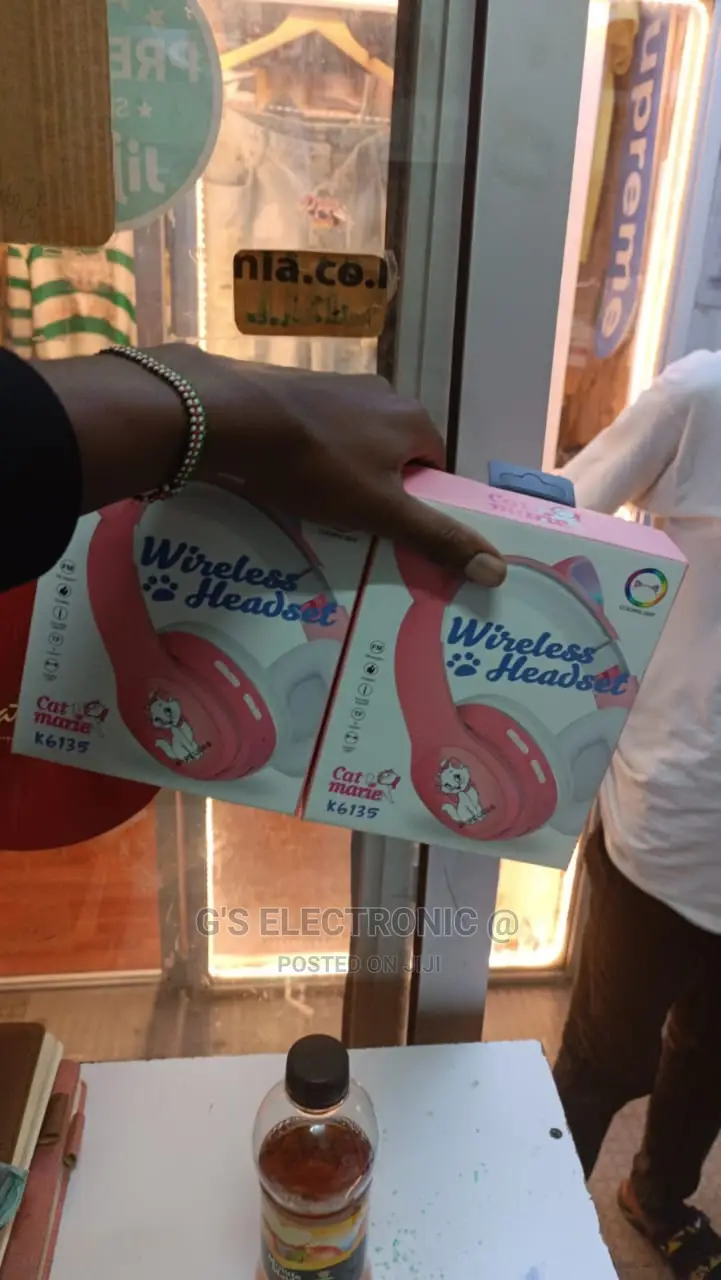 The Kids Headphones