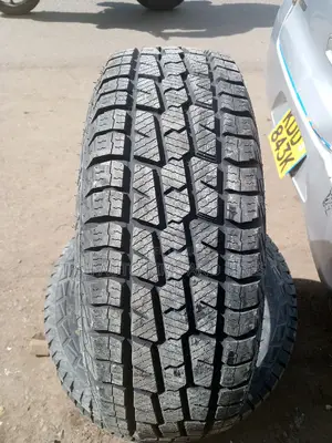 245/70r16 Xterain