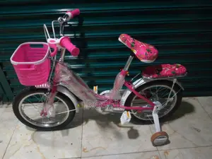 Size 16 Lady Bird Bike
