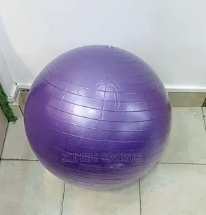 Yoga Balls Gym Balls Massage Balls 55cm