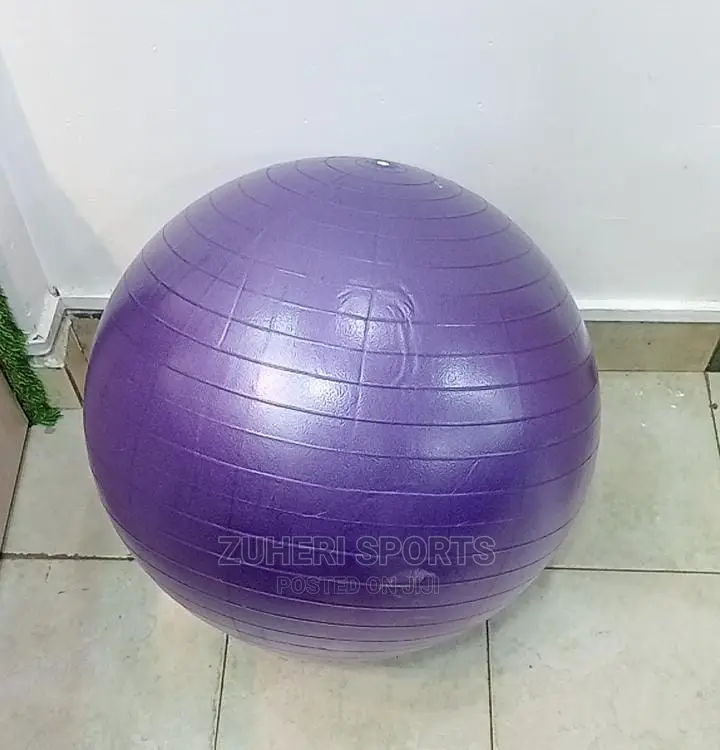 Yoga Balls Gym Balls Massage Balls 55cm