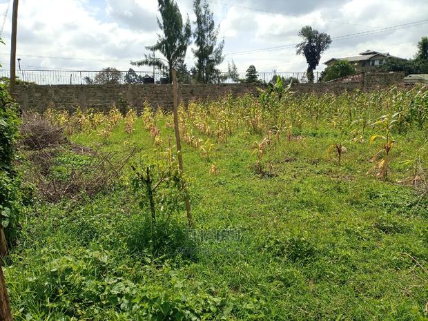 1/4 Acre for Sale - thumbnail 4