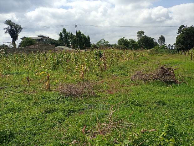 1/4 Acre for Sale - thumbnail 5