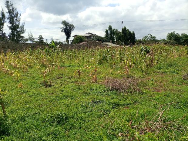 1/4 Acre for Sale - thumbnail 6