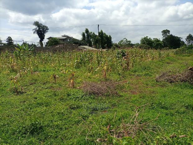 1/4 Acre for Sale - thumbnail 7